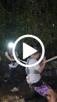 BIB:  <button type="button" onclick="openModal(27709447)" class="btn btn-primary btn-sm float-right" data-toggle="modal" data-target=".modal-high-quality">
                <i class="fa fa-download"></i> Download
                </button>